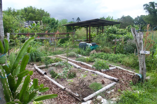 réaliser un jardin en permaculture